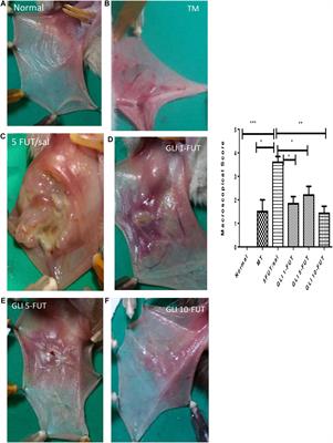 Gliclazide Prevents 5-FU-Induced Oral Mucositis by Reducing Oxidative Stress, Inflammation, and P-Selectin Adhesion Molecules